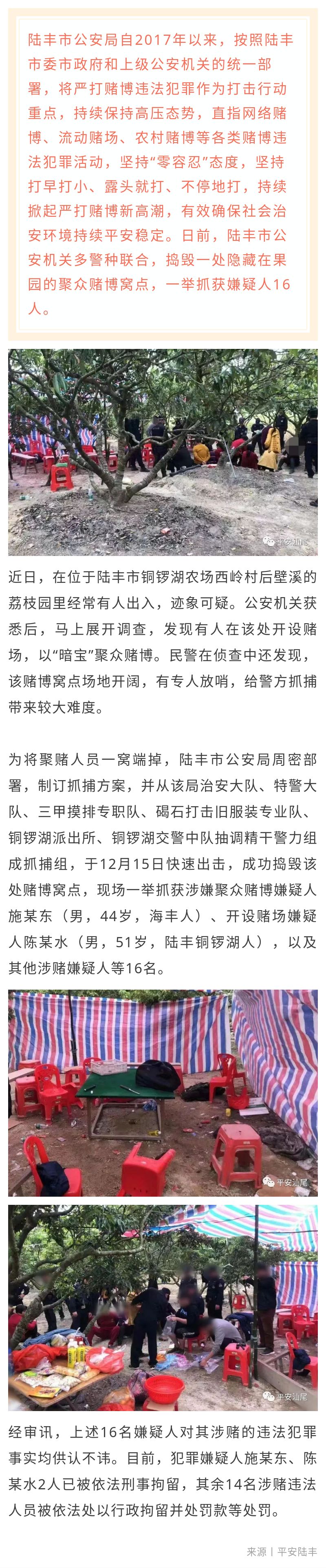 陆丰公安“零容忍”严打赌博 一举抓获16人.jpg