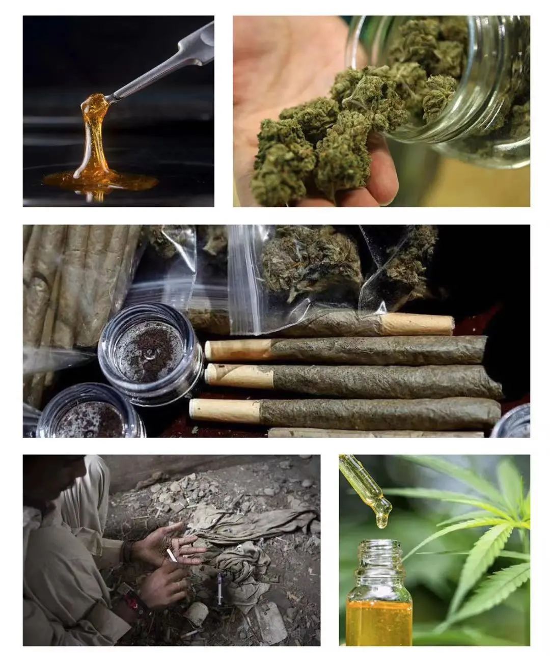 大麻3.png
