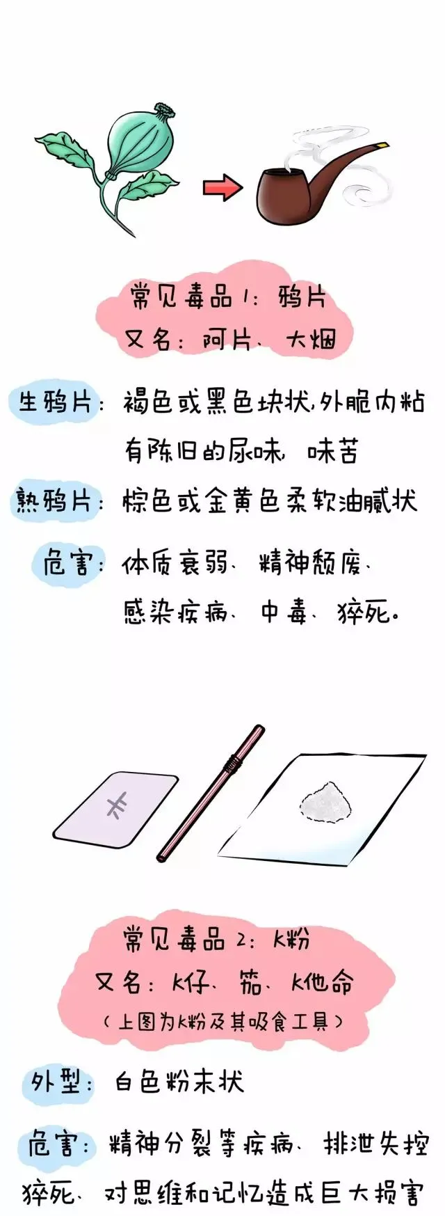 毒品4.png