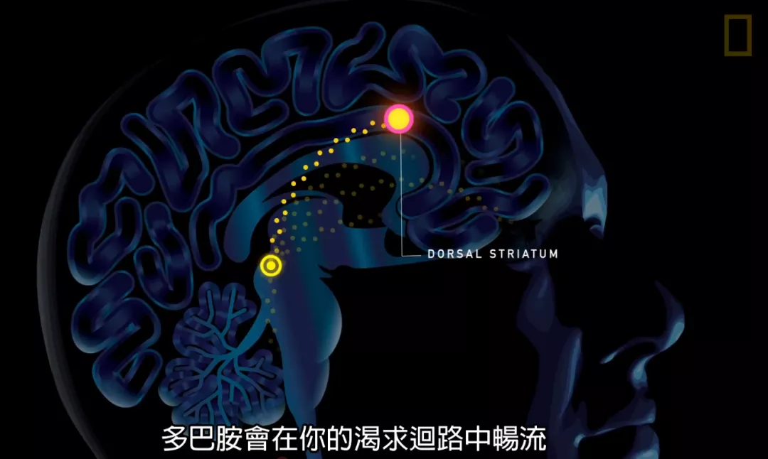 科普33.png