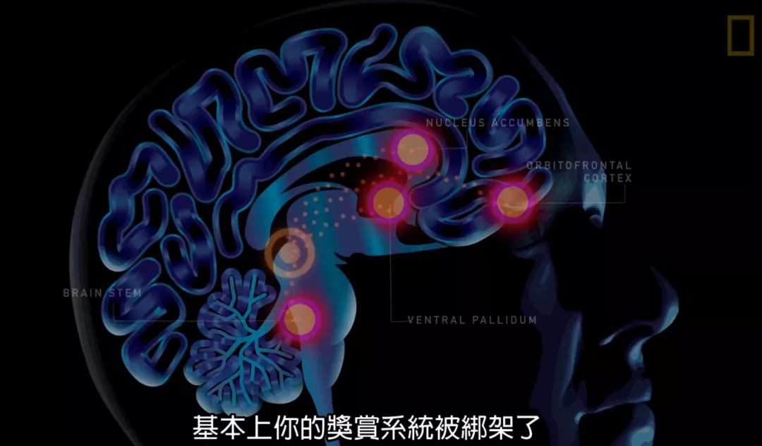 科普22.png