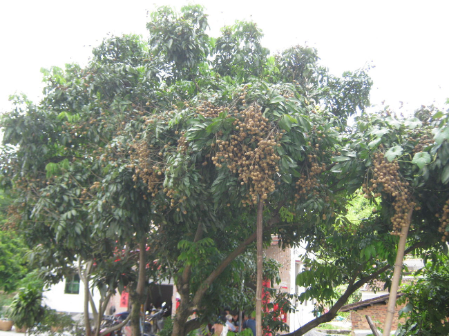 t0161f18bdc9c8aaf1a.jpg