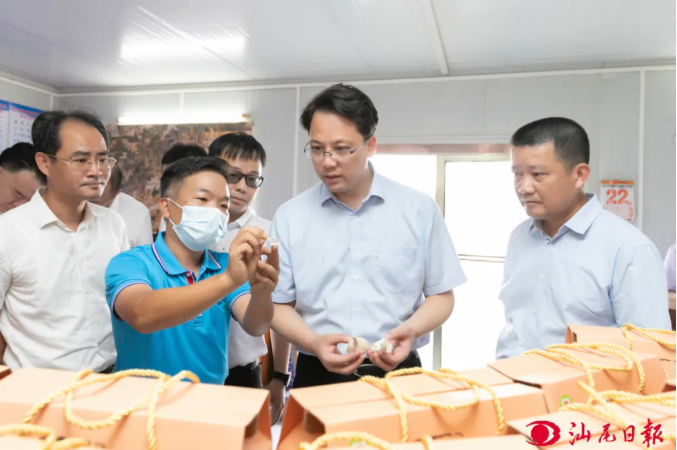 张晓强到陆丰调研时强调 全力推进乡村全面振兴 促进农业高质高效乡村宜居宜业农民富裕富足（2）.png