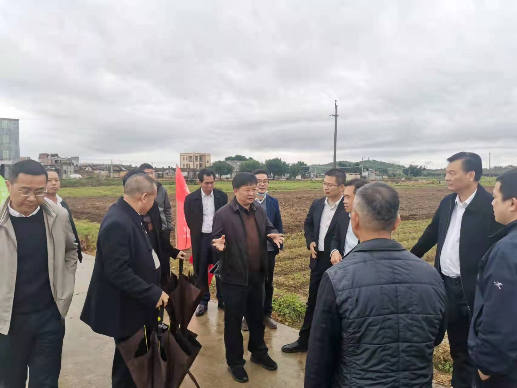 江毅先后到陆丰市河东镇后坎村,博美镇图美村,城东镇东埔村,实地察看