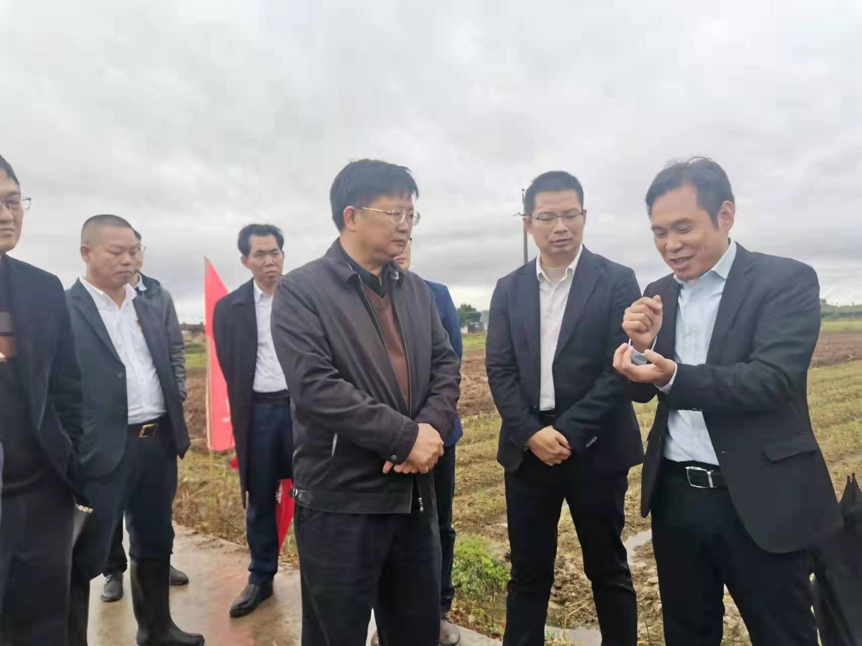 在博美镇图美村调研撂荒耕地流转种植玉米现场,听取汕尾市志远农业