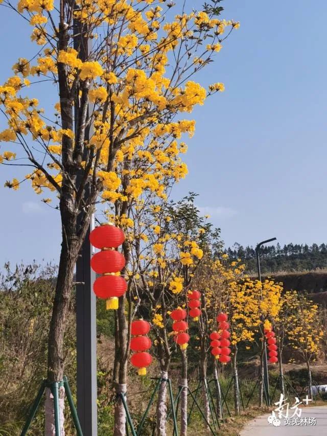 微信图片_20220218174223.jpg