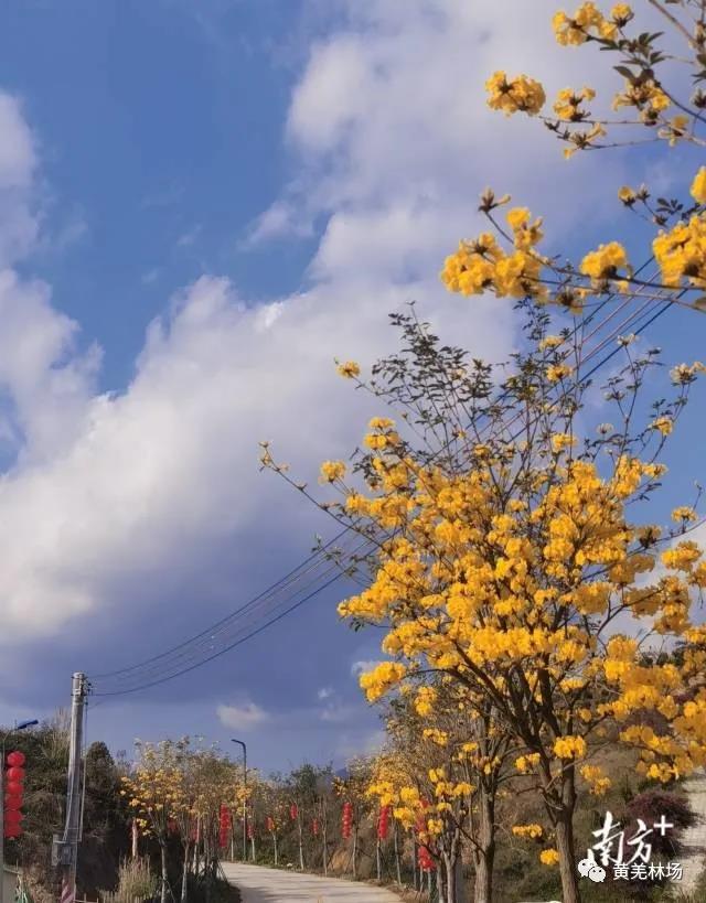 微信图片_20220218174219.jpg