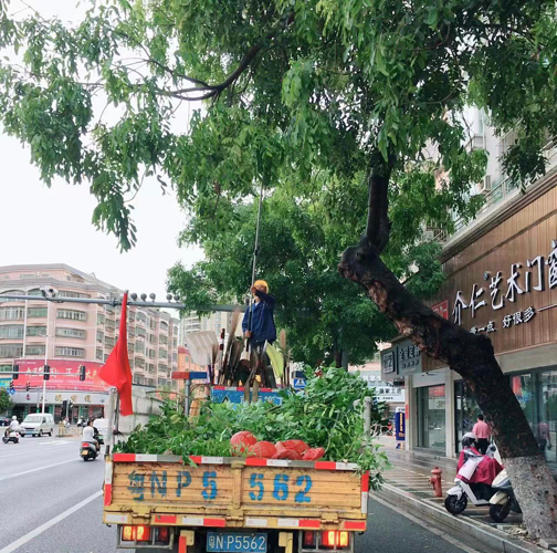 图片12.png