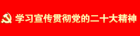 学习宣传贯彻党的二十大精神}