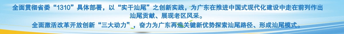 全面贯彻省委“1310”具体部署，以“实干汕尾”之创新实践，为广东在推进中国式现代化建设中走在前列作出汕尾贡献、展现老区风采。<br/>全面激活改革开放创新“三大动力”，奋力为广东再造关键新优势探索汕尾路径、形成汕尾模式。