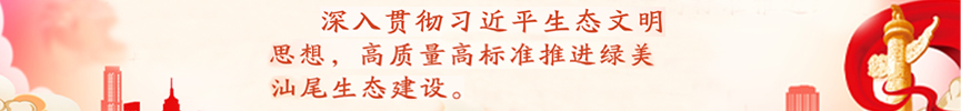 lmst.jpg
