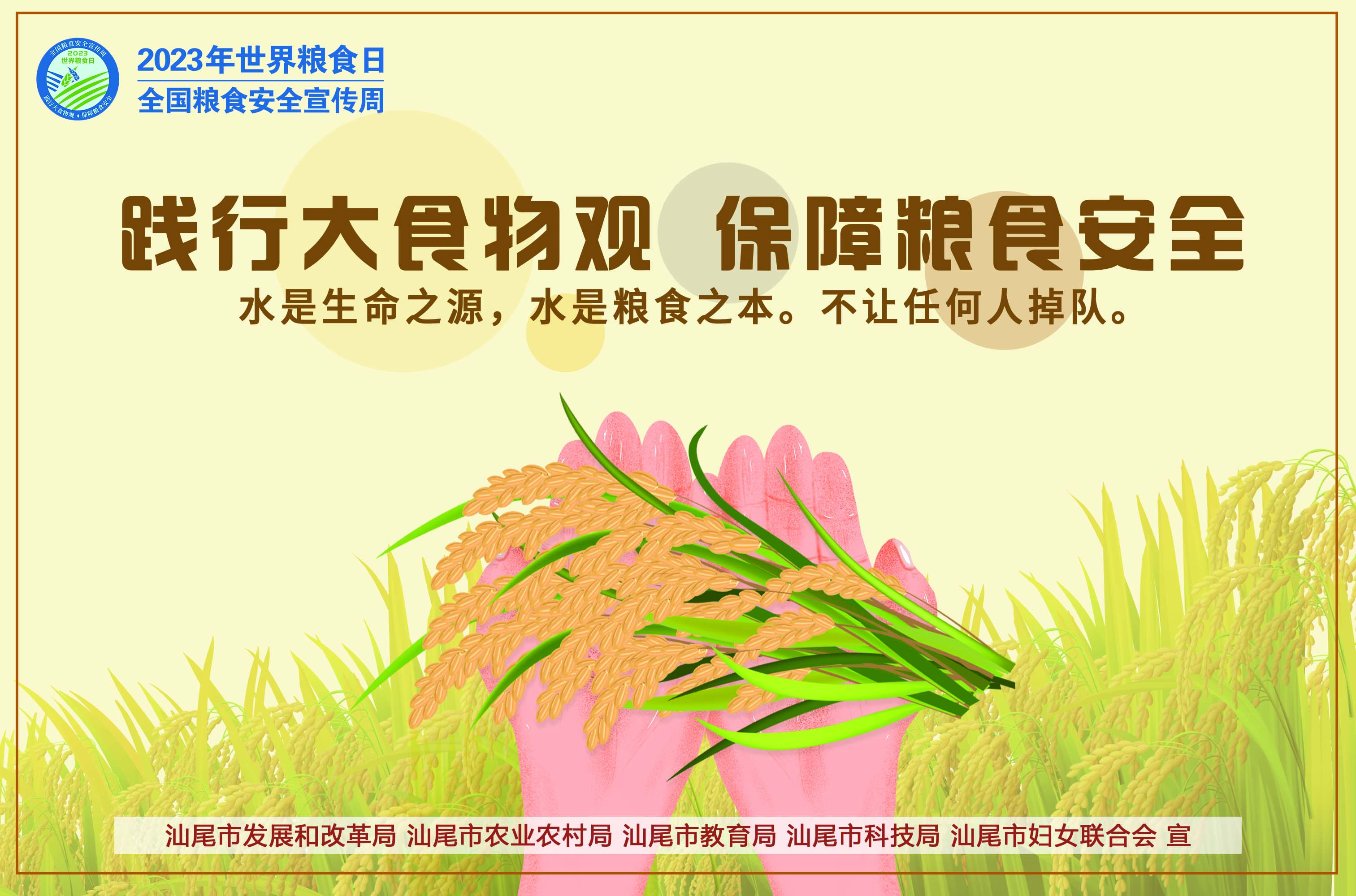 粮食安全宣传海报.jpg