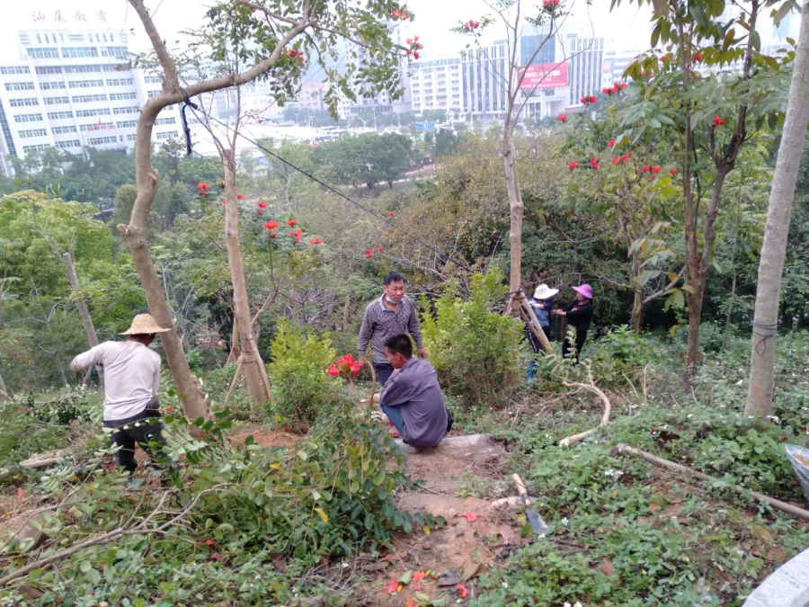 微信图片_20200324162651.jpg