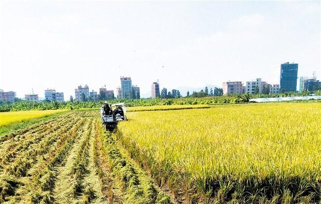 各县区积极探索数据要素市场化配置改革    海丰率先推出数据产品上线广州数据交易所