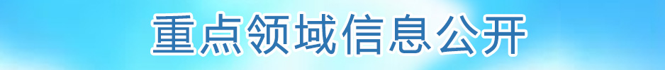 重点领域信息公开