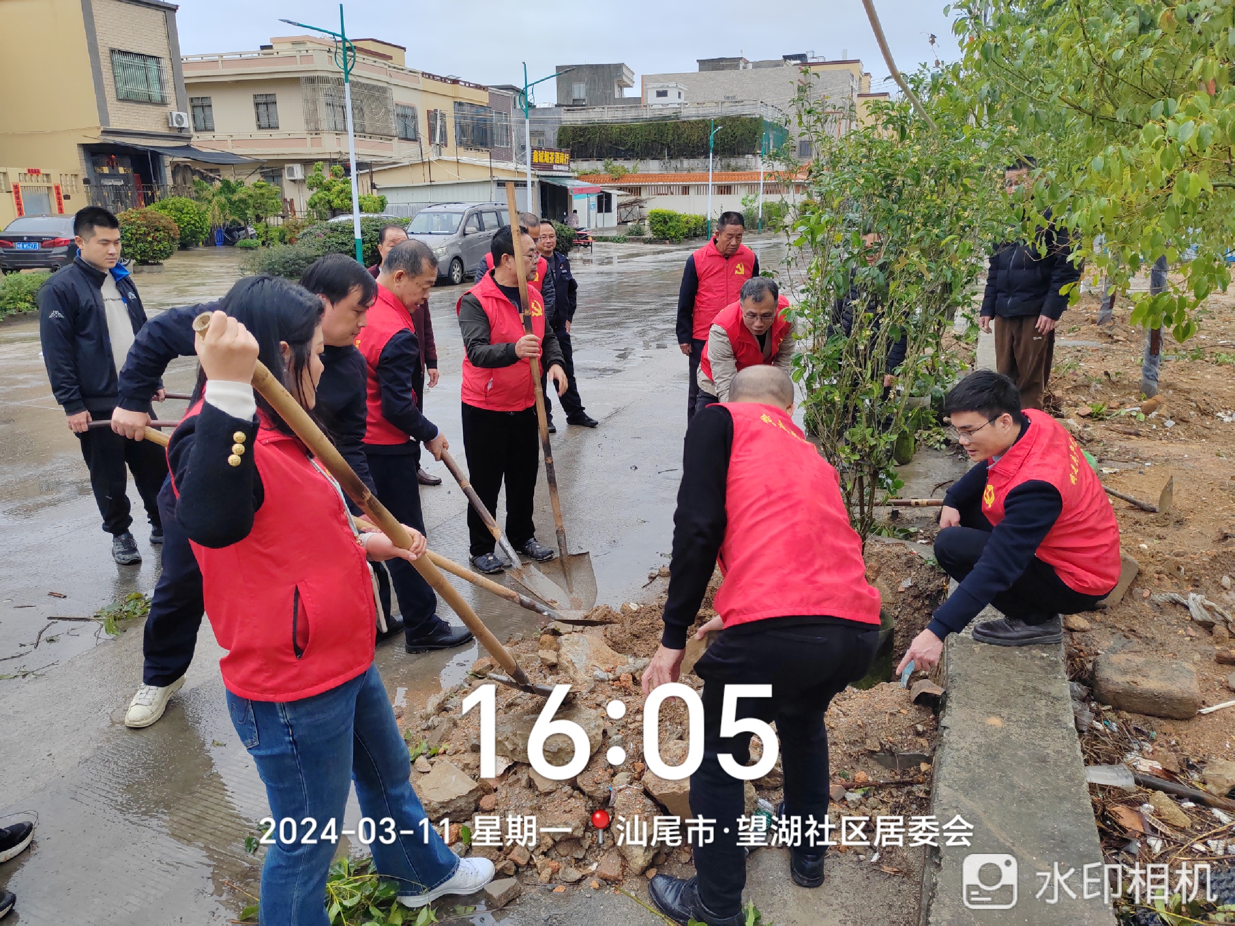 植树活动现场.jpg