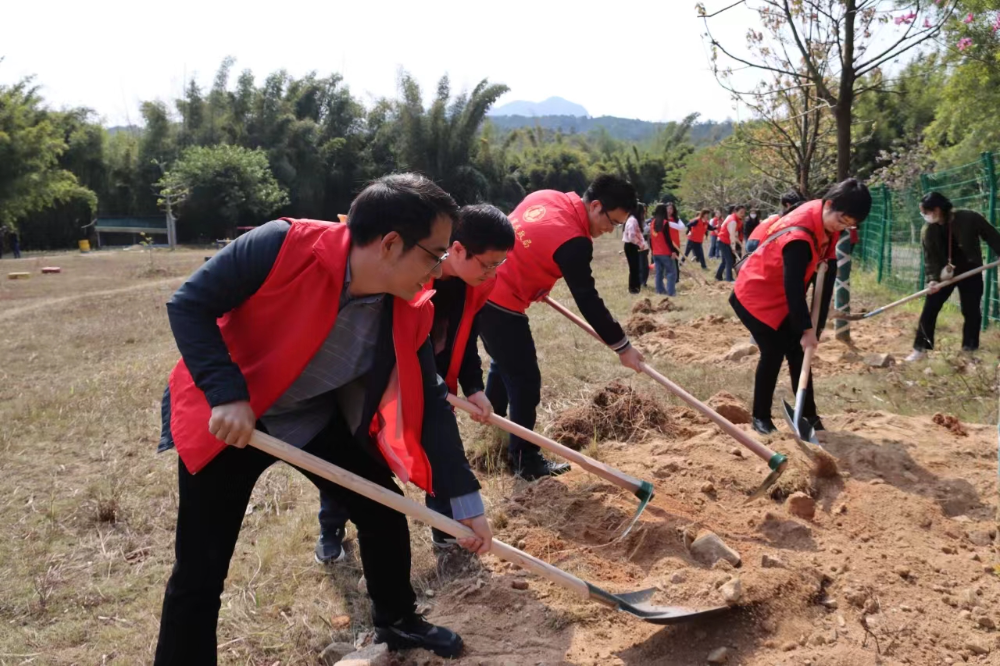 全“民”参与齐行动  植树添绿“政”当时——汕尾市民政局多措并举助力绿美汕尾生态建设