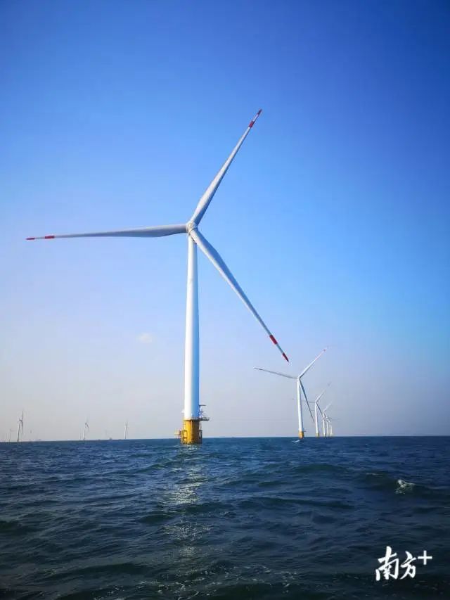 广东粤电湛江外罗海上风电项目使用的明阳智能MySE5.5MW抗台风型海上风电机组。受访企业供图