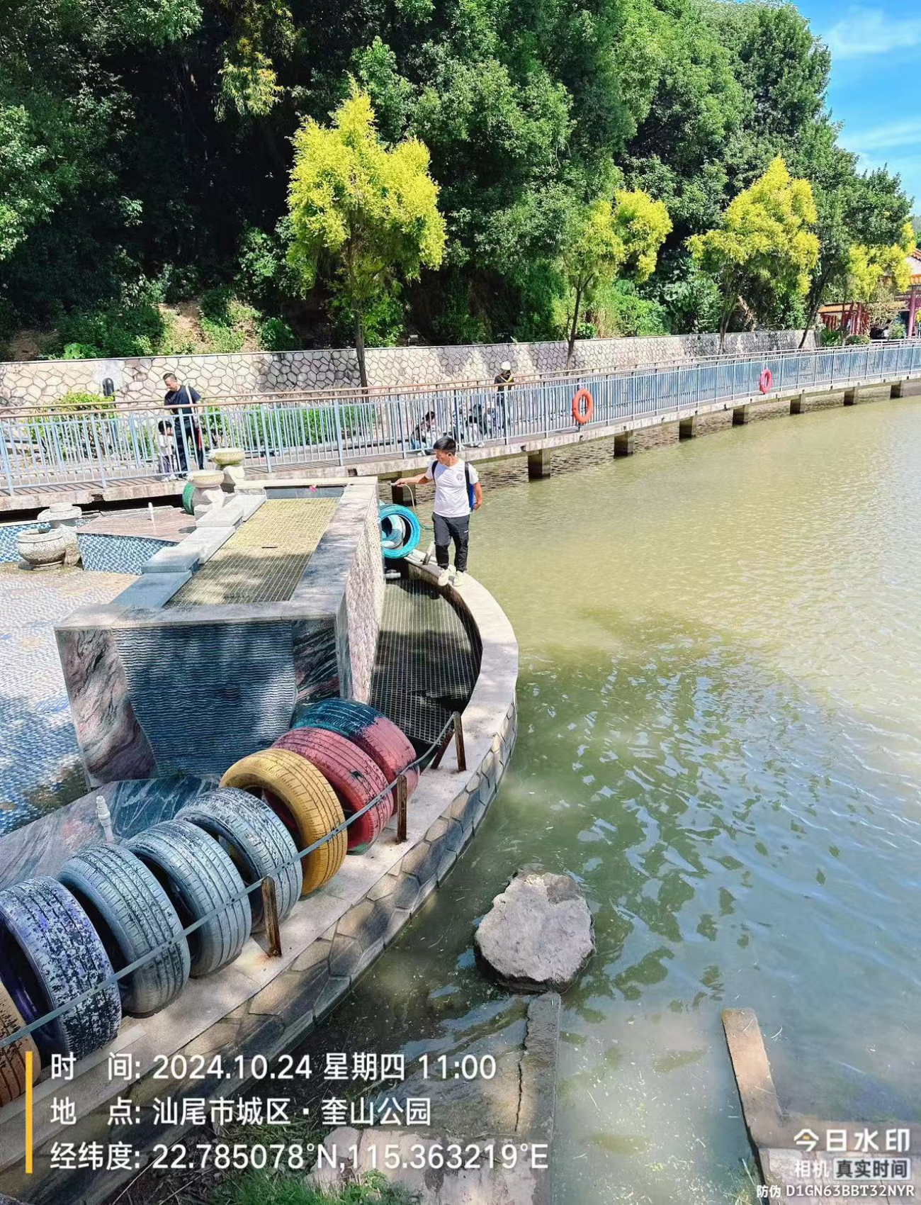 登革热6.jpg