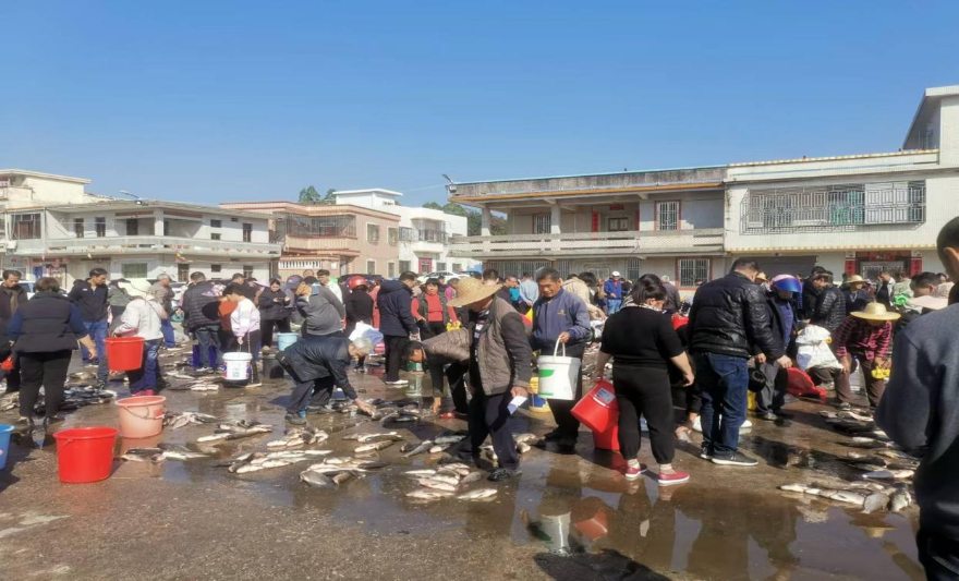 汕尾市因地制宜推进河道清淤实现生态治理与民生发展双赢
