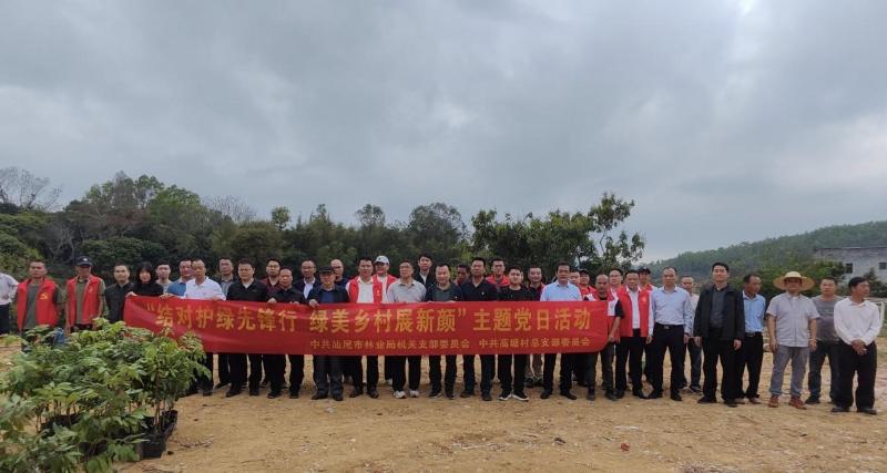 已编辑图片