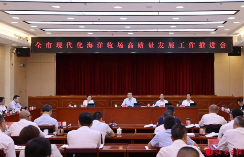 已编辑图片