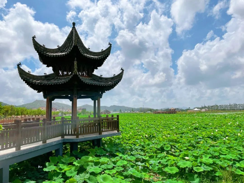 已编辑图片