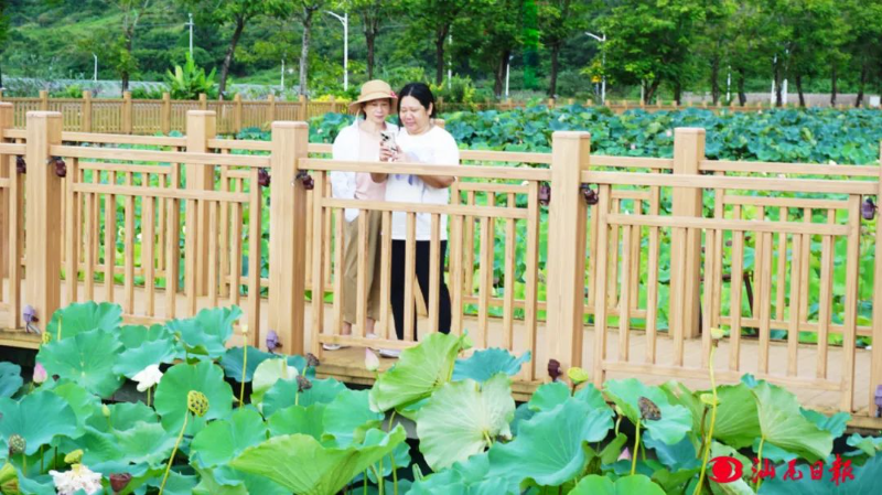 已编辑图片