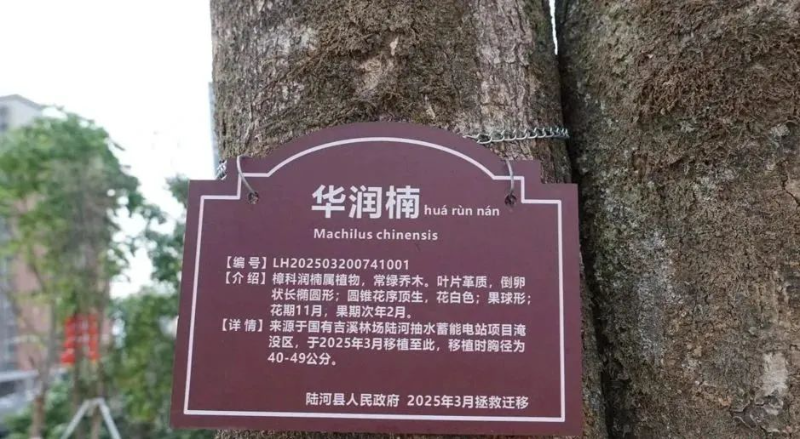 已编辑图片