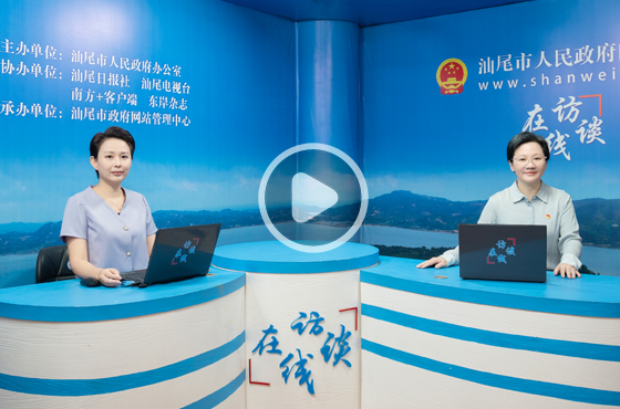 专访汕尾市投资促进局党组书记、局长 李婵