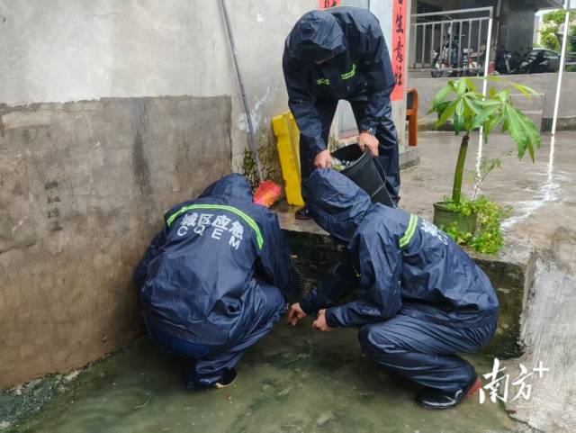    通讯员 林剑锋 供图