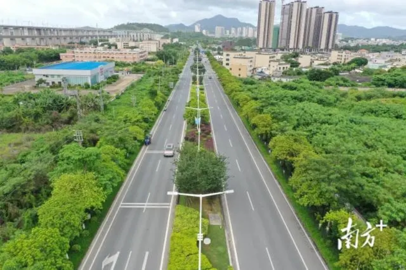 已编辑图片