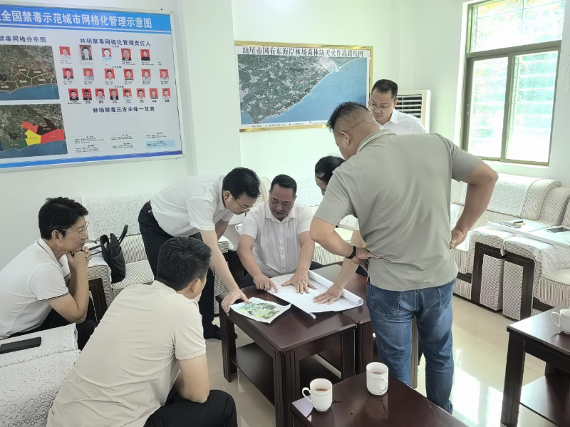 已编辑图片