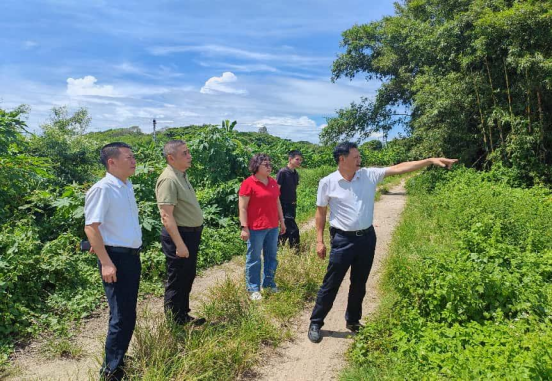 市供销社领导前往陆丰督导基孔肯雅热疫情防控和“百千万工程”三年初见成效工作