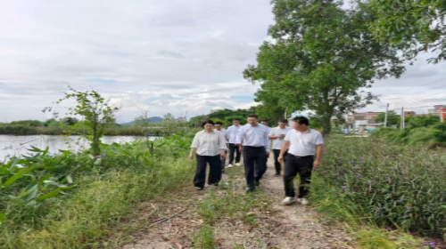 汕尾市国资委领导带队助力攻坚“百千万工程”三年初见成效工作