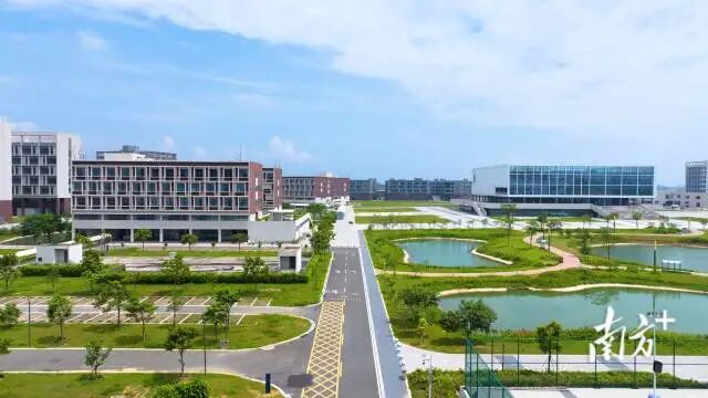 受访者 供图