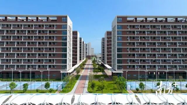 受访者 供图
