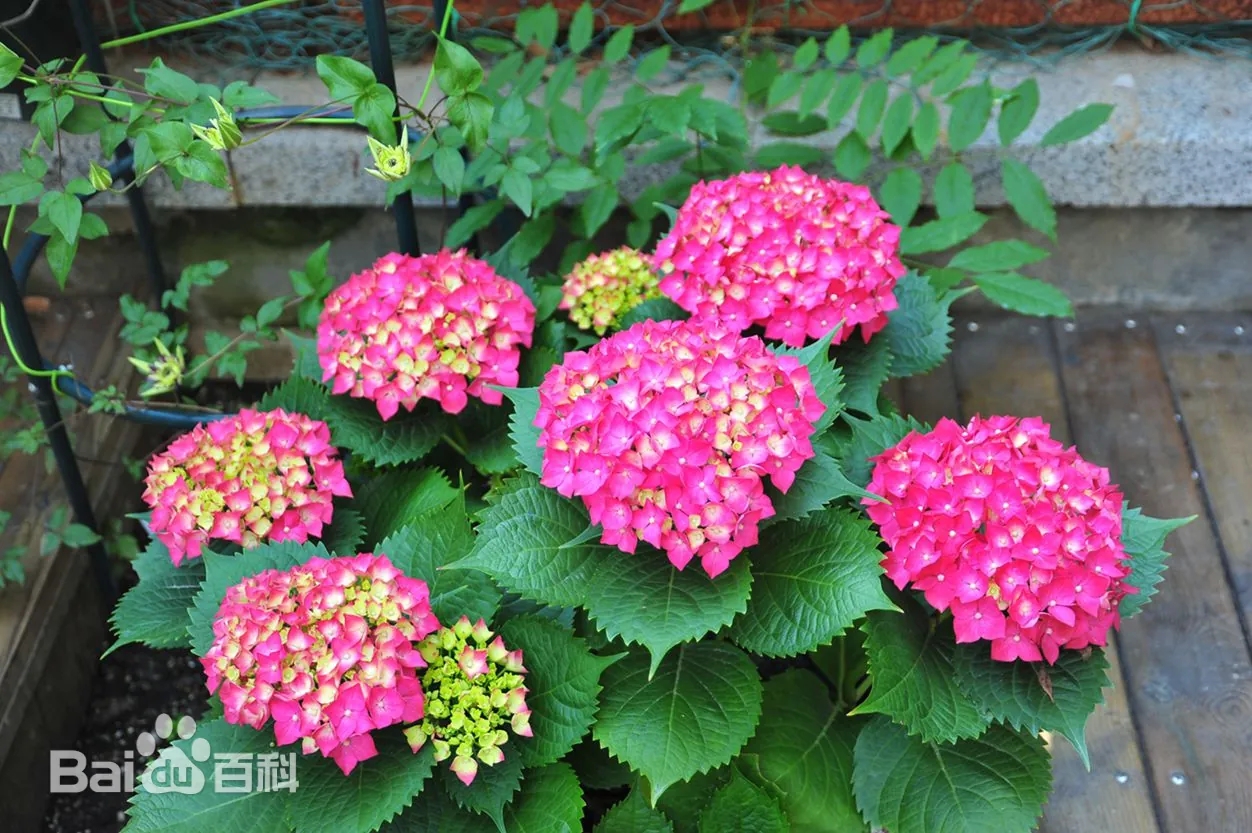 微信图片_20250930155939_46_75.jpg