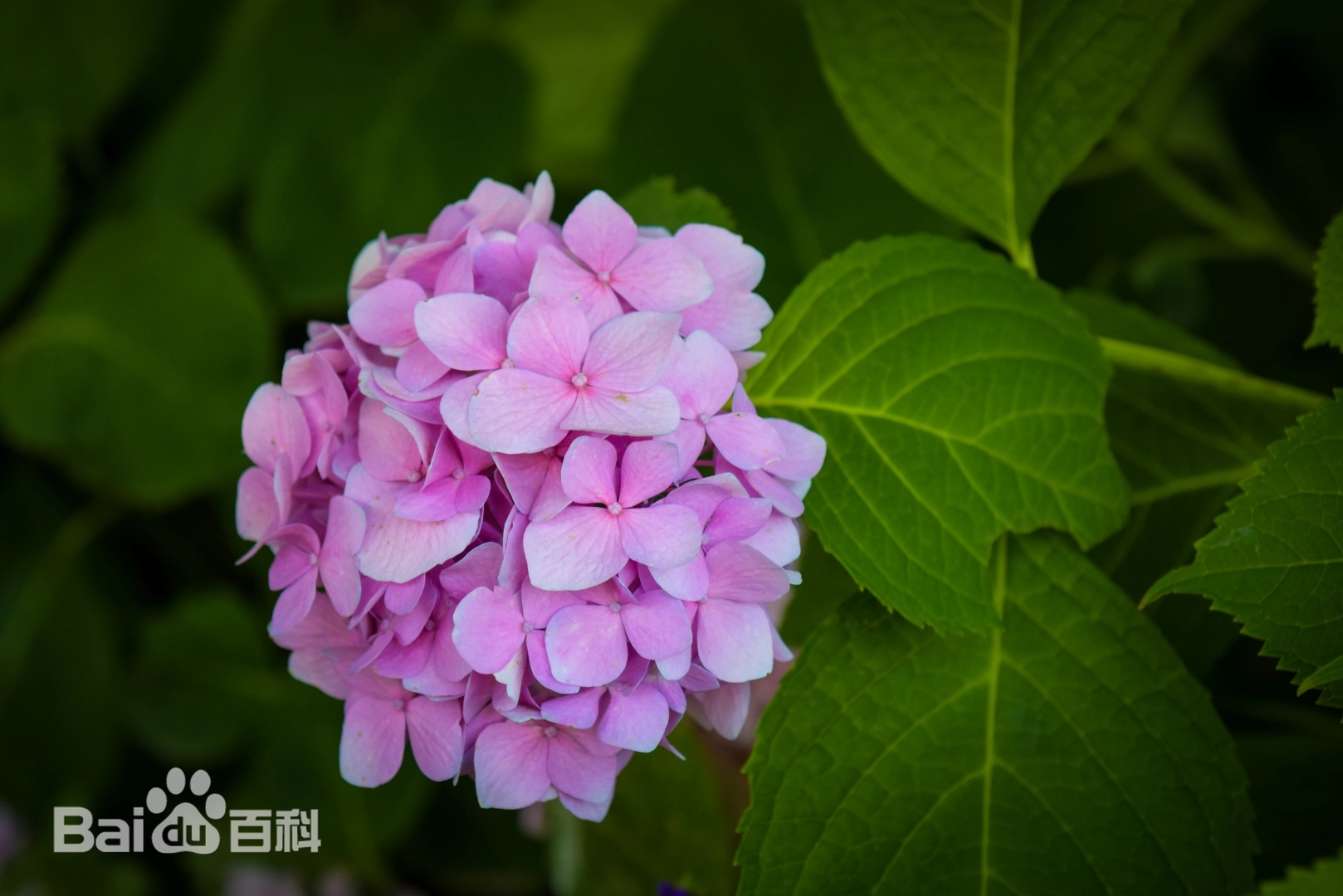 微信图片_20250930160015_47_75.jpg