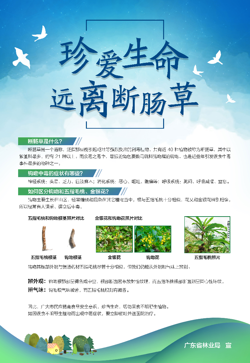 已编辑图片
