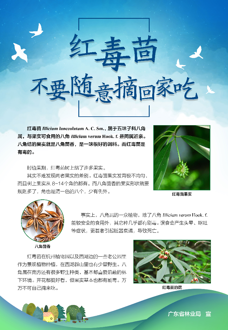 已编辑图片