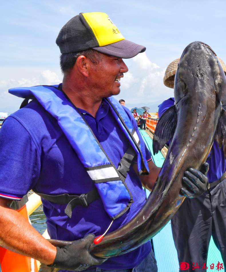 海鲡鱼 孙实 摄.png