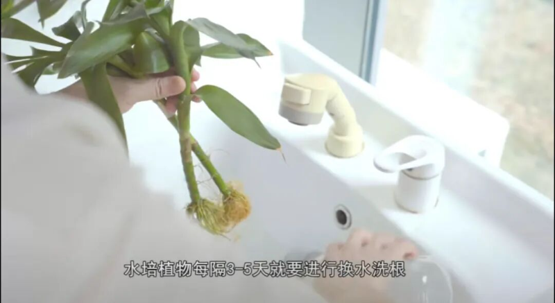 转存图片
