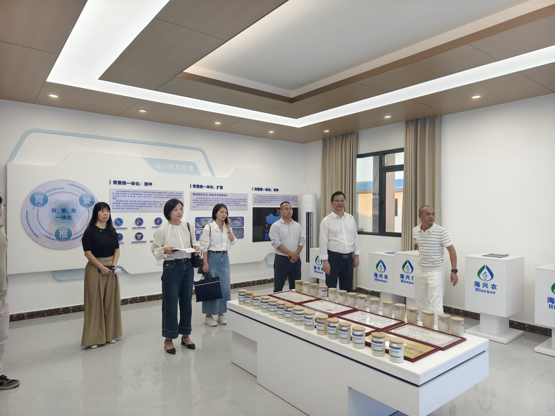 一线核查提质效 精准指导强基础——汕尾市统计局扎实开展投资项目数据质量核查