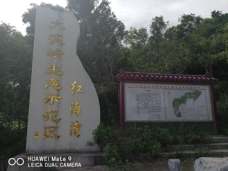 微信图片_202006160920221.jpg