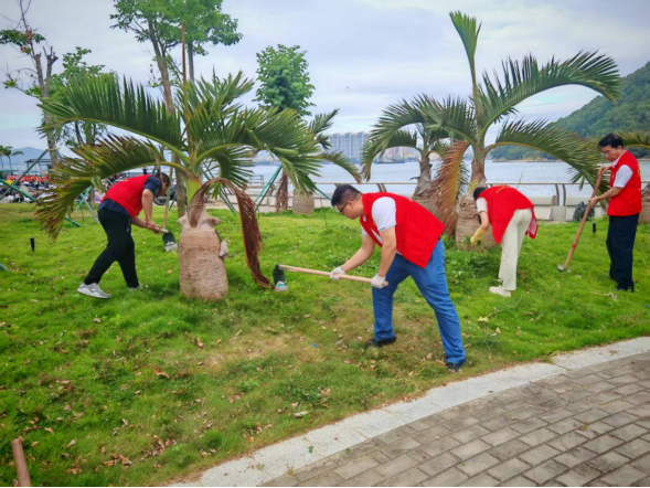 携手共护科技林 市科技局联合新港街道开展爱卫、绿美志愿活动