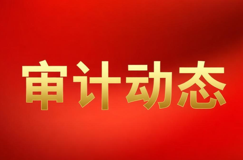 广东：以高质量审计监督护航广东经济社会高质量发展