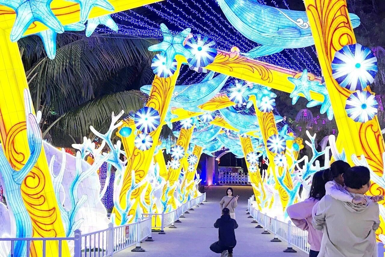 “陆丰映月 福马迎春”迎春灯会举行 流光溢彩添年味