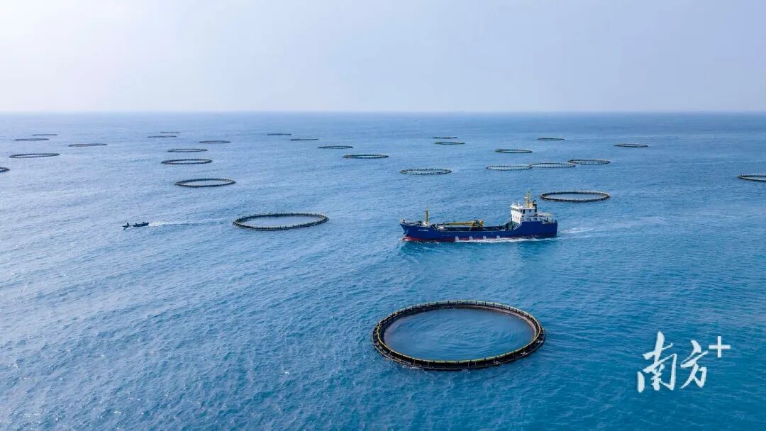 行动方案发布！“媒体+”为大湾区美丽中国先行区建设“加buff”