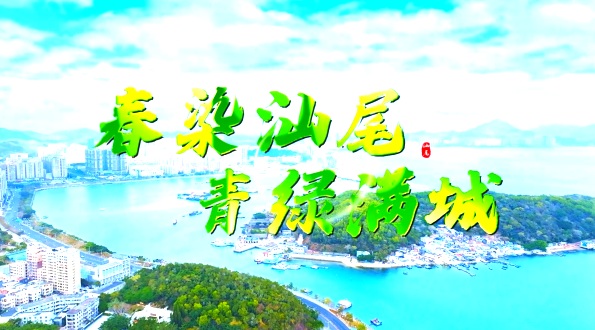 守护绿美汕尾 共筑平安清明